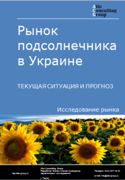Анализ рынка подсолнечника в Украине. Текущая ситуация и прогноз 2024-2028 гг.