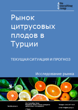 Анализ рынка цитрусовых плодов в Турции. Текущая ситуация и прогноз 2024-2028 гг.