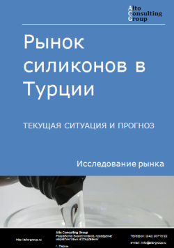 Обложка Анализ рынка силиконов в Турции. Текущая ситуация и прогноз 2024-2028 гг.