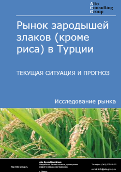 Обложка отчета: Анализ рынка зародышей злаков (кроме риса) в Турции. Текущая ситуация и прогноз 2025-2029 гг.