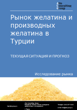 Обложка Анализ рынка желатина и производных желатина в Турции. Текущая ситуация и прогноз 2024-2028 гг.