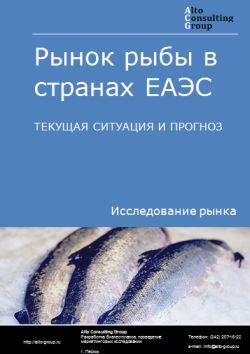 Анализ рынка рыбы в странах ЕАЭС. Текущая ситуация и прогноз 2024-2028 гг.