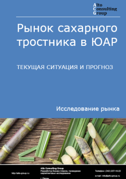 Рынок сахарного тростника в ЮАР. Текущая ситуация и прогноз 2024-2028 гг.