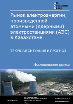 Обложка Анализ рынка электроэнергии, произведенной атомными (ядерными) электростанциями (АЭС) в Казахстане. Текущая ситуация и прогноз 2024-2028 гг.