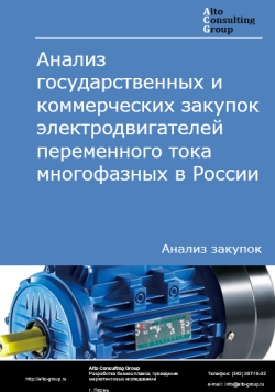 Анализ государственных и коммерческих закупок электродвигателей переменного тока многофазных в России в 2024 г.