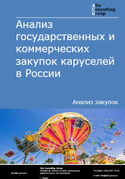 Анализ государственных и коммерческих закупок каруселей в России в 2024 г.