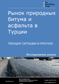 Рынок природных битума и асфальта в Турции. Текущая ситуация и прогноз 2025-2029 гг.