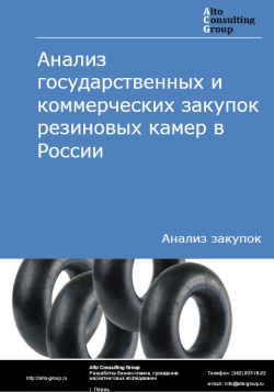 Анализ государственных и коммерческих закупок резиновых камер в России в 2024 г.