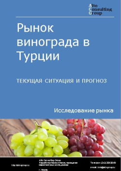 Рынок винограда в Турции. Текущая ситуация и прогноз 2024-2028 гг.