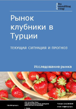 Рынок клубники в Турции. Текущая ситуация и прогноз 2024-2028 гг.