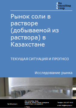 Анализ рынка соли в растворе (добываемой из раствора) в Казахстане. Текущая ситуация и прогноз 2024-2028 гг.