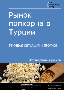 Обложка отчета: Анализ рынка попкорна в Турции. Текущая ситуация и прогноз 2025-2029 гг.