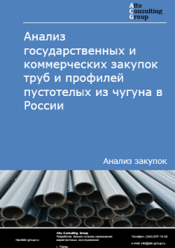 Обложка исследования: Анализ закупок труб и профилей пустотелых из чугуна в России в 2025 г.