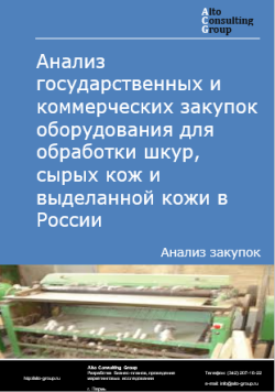 Обложка исследования: Анализ закупок оборудования для обработки шкур, сырых кож и выделанной кожи в России в 2024 г.