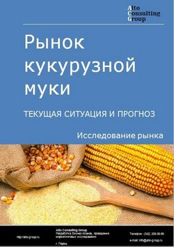 Рынок кукурузной муки в России. Текущая ситуация и прогноз 2020-2024 гг.