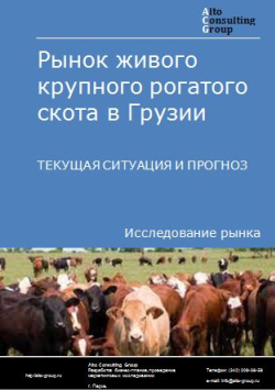Рынок живого крупного рогатого скота в Грузии. Текущая ситуация и прогноз 2022-2026 гг.