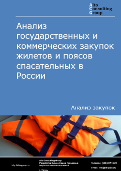 Анализ государственных и коммерческих закупок жилетов и поясов спасательных в России в 2024 г.