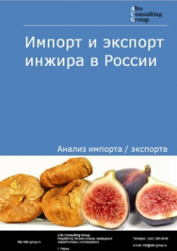 Импорт и экспорт инжира, свежего или сушеного в России в 2020-2024 гг.