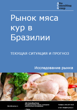 Рынок мяса кур в Бразилии. Текущая ситуация и прогноз 2024-2028 гг.