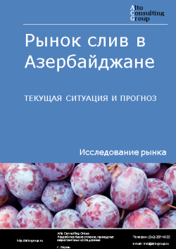 Обложка исследования: Анализ рынка слив в Азербайджане. Текущая ситуация и прогноз 2024-2028 гг.