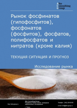 Рынок фосфинатов (гипофосфитов), фосфонатов (фосфитов), фосфатов, полифосфатов и нитратов (кроме калия) в России. Текущая ситуация и прогноз