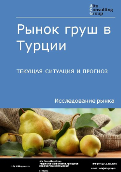 Рынок груш в Турции. Текущая ситуация и прогноз 2024-2028 гг.