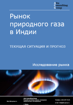 Рынок природного газа в Индии. Текущая ситуация и прогноз 2024-2028 гг.