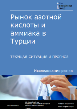 Обложка Анализ рынка азотной кислоты и аммиака в Турции. Текущая ситуация и прогноз 2024-2028 гг.