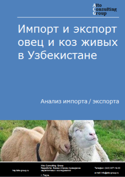 Анализ импорта и экспорта живых овец и коз в Узбекистане в 2019-2023 гг.