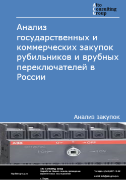 Анализ государственных и коммерческих закупок рубильников и врубных переключателей в России в 2024 г.