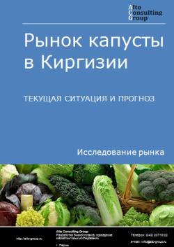 Анализ рынка капусты в Киргизии. Текущая ситуация и прогноз 2024-2028 гг.