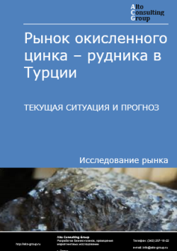 Рынок окисленного цинка – рудника в Турции. Текущая ситуация и прогноз 2025-2029 гг.