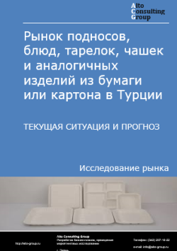 Обложка отчета: Анализ рынка подносов, блюд, тарелок, чашек и аналогичных изделий из бумаги или картона в Турции. Текущая ситуация и прогноз 2025-2029 гг.