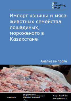 Анализ импорта конины и мяса животных семейства лошадиных, мороженого в Казахстан в 2020-2024 гг.