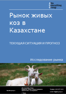 Анализ рынка живых коз в Казахстане. Текущая ситуация и прогноз 2024-2028 гг.