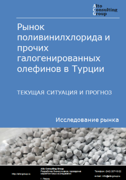 Рынок поливинилхлорида и прочих галогенированных олефинов в Турции. Текущая ситуация и прогноз 2024-2028 гг.