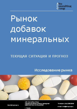 Обложка Анализ рынка добавок минеральных в России. Текущая ситуация и прогноз 2024-2028 гг.