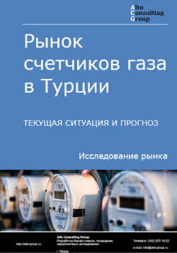 Рынок счетчиков газа в Турции. Текущая ситуация и прогноз 2024-2028 гг.