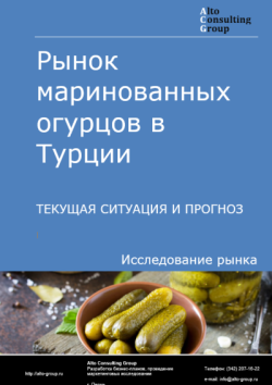 Обложка отчета: Анализ рынка маринованных огурцов в Турции. Текущая ситуация и прогноз 2025-2029 гг.