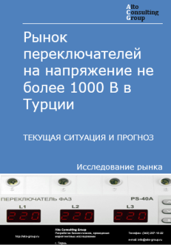 Рынок переключателей на напряжение не более 1000 В в Турции. Текущая ситуация и прогноз 2024-2028 гг.