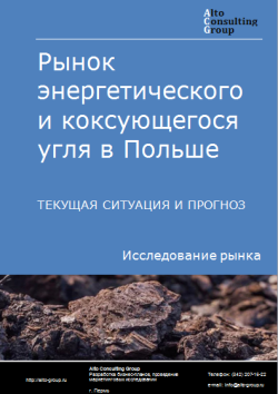 Рынок энергетического и коксующегося угля в Польше. Текущая ситуация и прогноз 2024-2028 гг.