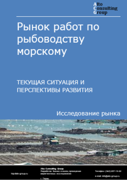 Обложка исследования: Анализ рынка работ по рыбоводству морскому в России. Текущая ситуация и перспективы развития