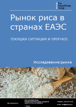 Анализ рынка риса в странах ЕАЭС. Текущая ситуация и прогноз 2024-2028 гг.