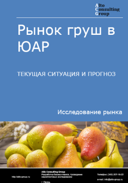 Обложка исследования: Анализ рынка груш в ЮАР. Текущая ситуация и прогноз 2024-2028 гг.