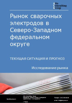 Рынок сварочных электродов в Северо-Западном федеральном округе. Текущая ситуация и прогноз 2024-2028 гг.