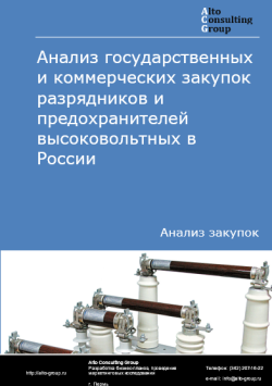 Анализ государственных и коммерческих закупок разрядников и предохранителей высоковольтных в России в 2024 г.