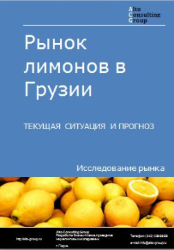 Рынок лимонов в Грузии. Текущая ситуация и прогноз 2022-2026 гг.