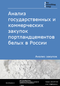 Анализ государственных и коммерческих закупок портландцементов белых в России в 2024 г.