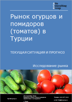 Рынок огурцов и помидоров (томатов) в Турции. Текущая ситуация и прогноз 2024-2028 гг.