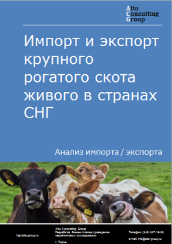 Импорт и экспорт крупного рогатого скота живого в странах СНГ в 2019-2023 гг.